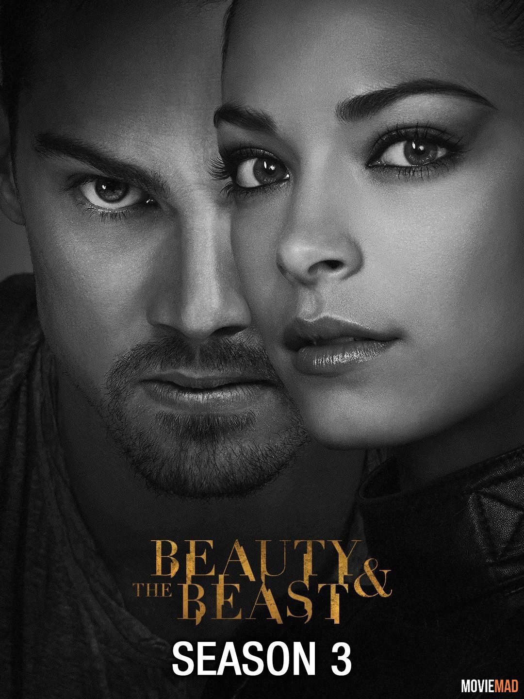 Beauty And The Beast (2015) Season 3 (Episode 1 to 5) Hindi Dubbed Complete Series